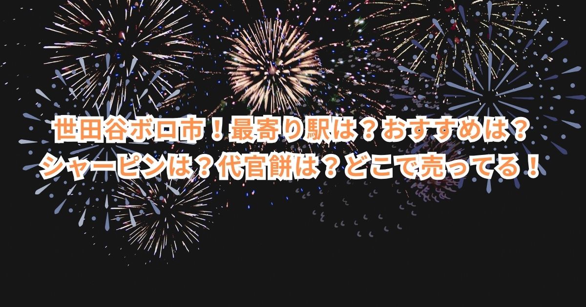 世田谷ボロ市2024！最寄り駅は？おすすめは？シャーピンは？代官餅は？どこで売ってる？