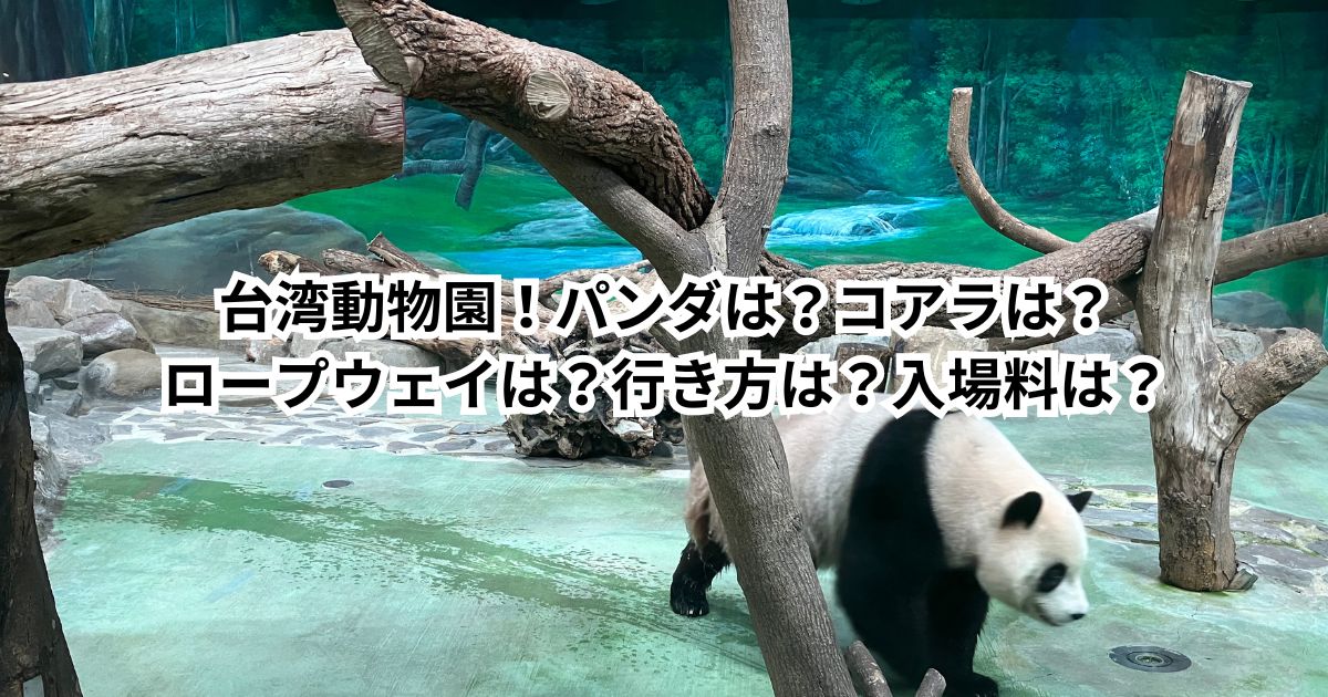 台湾動物園！パンダは？コアラは？珍しい生き物は？ロープウェイは？行き方は？入場料は？